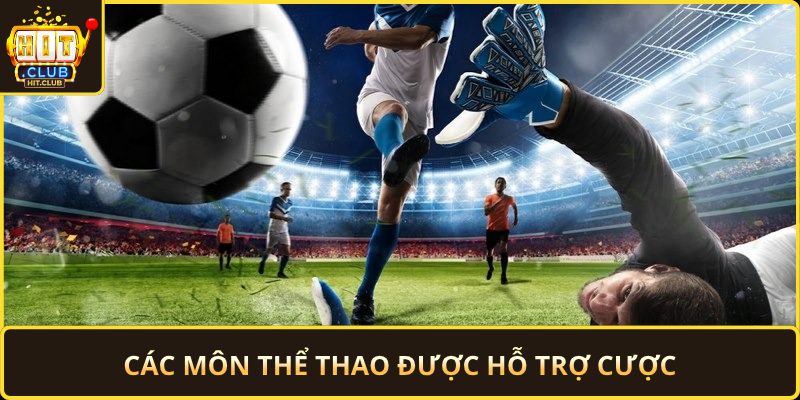 Cac Mon The Thao Duoc Ho Tro Cuoc