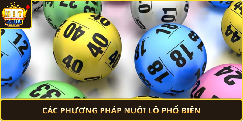 Cac Phuong Phap Nuoi Lo Pho Bien