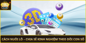 Cach Nuoi Lo Chia Se Kinh Nghiem Theo Doi Con So