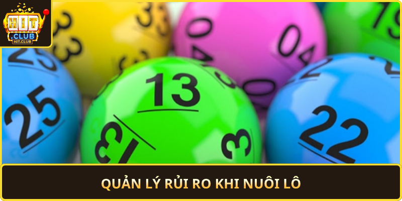 Quan Ly Rui Ro Khi Nuoi Lo