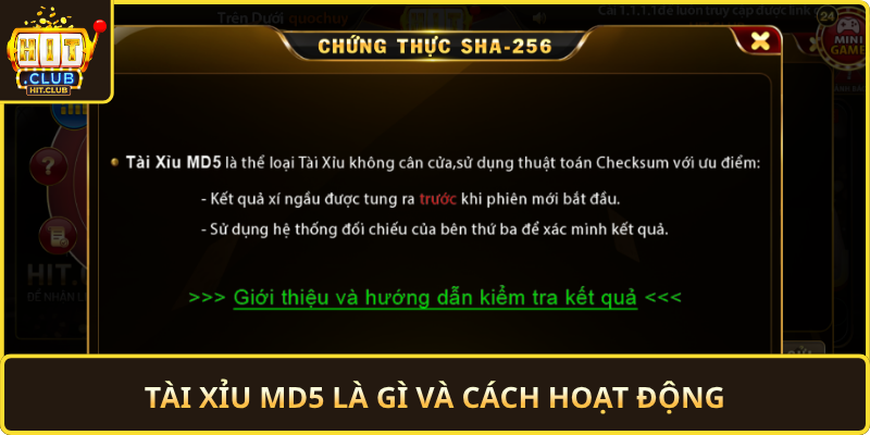 Tai Xiu Md5 La Gi Va Cach Hoat Dong